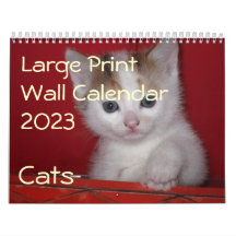 Grote print muurkalender 2023 - Katten