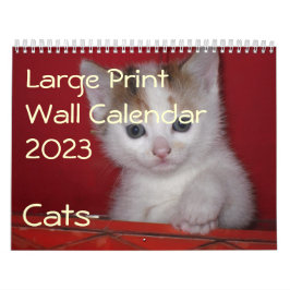 Grote print muurkalender 2023 - Katten Kalender