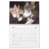 Grote Print Muurkalender 2025 - Katten Kalender (Mar 2026)