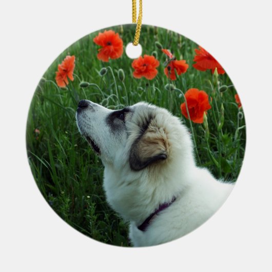 Grote pyreenpuppy keramisch ornament (Voorkant)