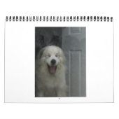 Grote Pyreneeën Calender Kalender (Hoes)
