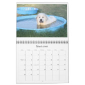 Grote Pyreneeën Calender Kalender (Mar 2026)