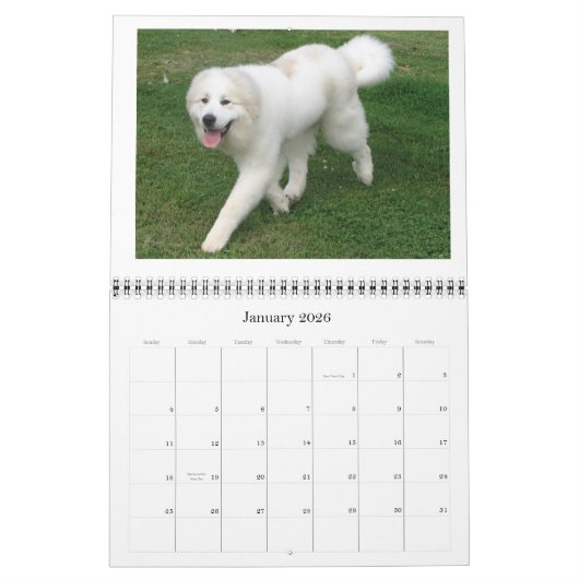 Grote Pyreneeën Calender Kalender (Jan 2026)