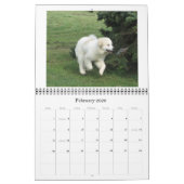 Grote Pyreneeën Calender Kalender (Feb 2026)