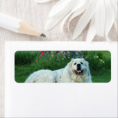 Grote Pyreneeën Etiket (Insitu)