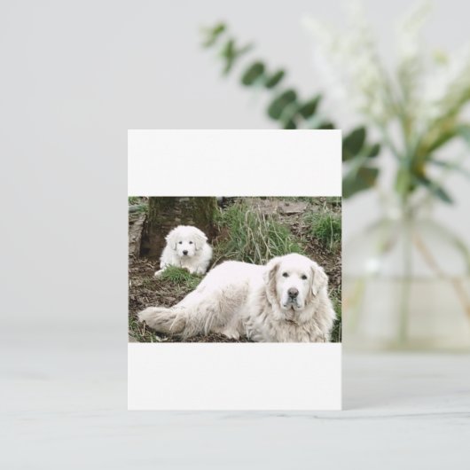 Grote Pyreneeën Hond en puppy Briefkaart (Staand voorkant)
