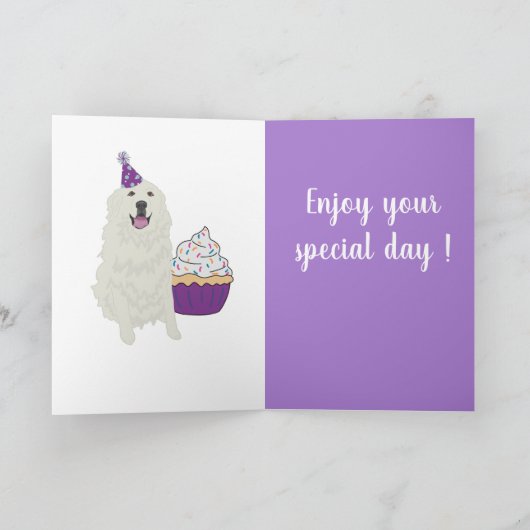  Grote Pyreneeën Kaart (Binnen)