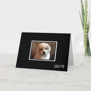 Grote Pyreneeën Kaart