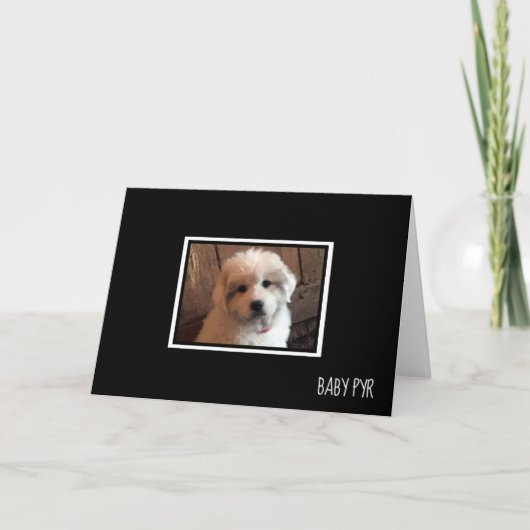 Grote Pyreneeën Kaart (Voorkant)