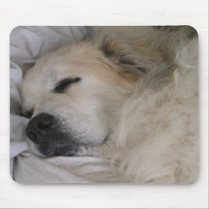 Grote pyreneeën mousepad muismat