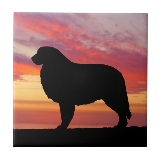 Grote Pyreneeën Persimmon Sunset Silhouette Tegeltje (Voorkant)