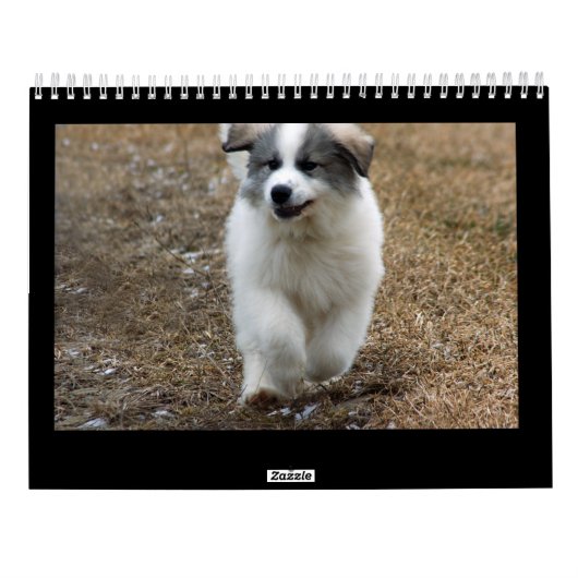 Grote pyreneeën — Puppy Calendar Kalender (Achterkant)
