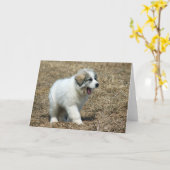 Grote Pyreneeën Puppy Kaart (Gele Bloem)