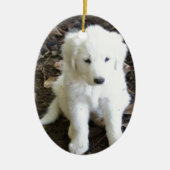 Grote Pyreneeën Puppy Roos Keramisch Ornament (Voorkant)