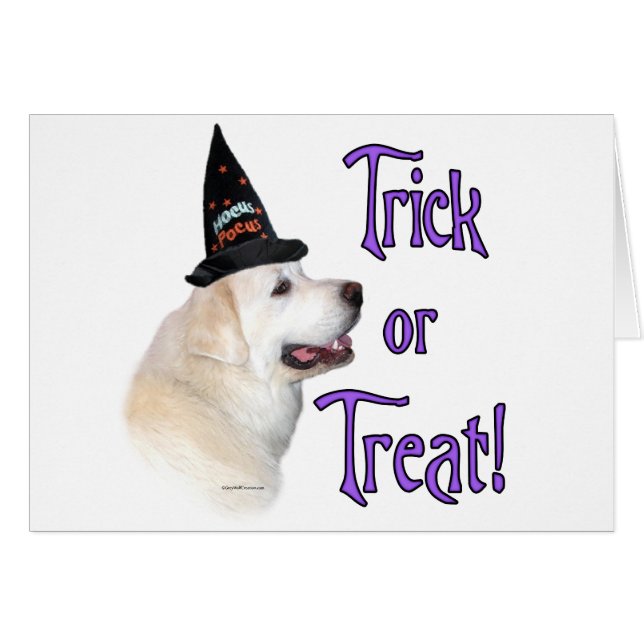 Grote Pyreneeën Trick (Voorkant Horizontaal)