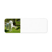 grote pyreneeën vol 2 etiket (Voorkant)