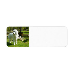 grote pyreneeën vol 2 etiket