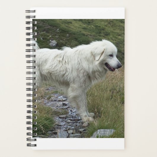 grote pyreneeën vol planner (Voorkant)