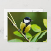 Grote reis in het najaar briefkaart (Voorkant / Achterkant)