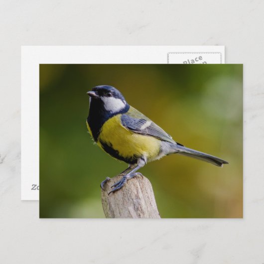 Grote reis in het najaar briefkaart (Voorkant / Achterkant)