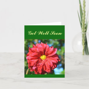 Grote rode dahlia met geel 'Button' centrum Kaart