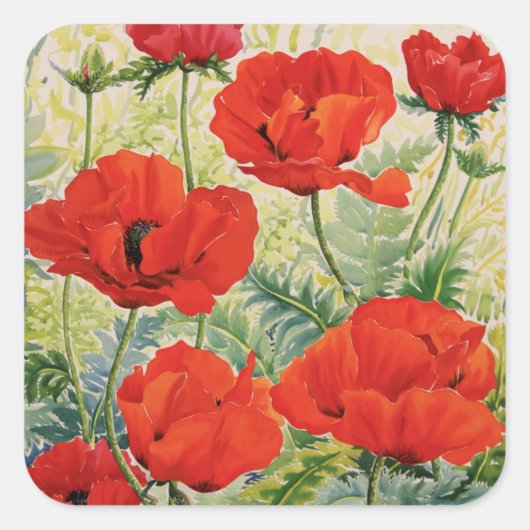 Grote rode papaver vierkante sticker (Voorkant)