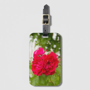 Grote rode rozen in de tuin bagagelabel