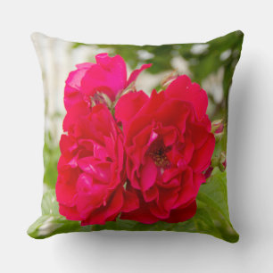 Grote rode rozen in de tuin kussen