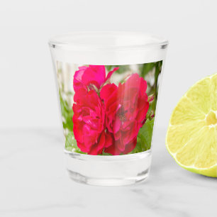 Grote rode rozen in de tuin shot glas