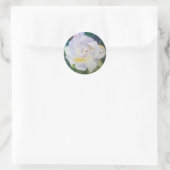 Grote romige witte gardenia ronde sticker (Tas)