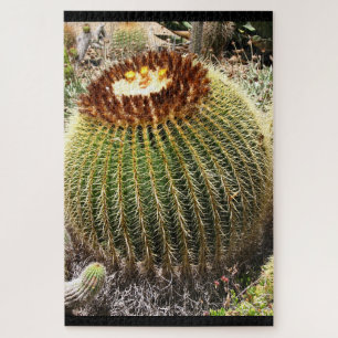 Grote, ronde, geprijsde cactus legpuzzel