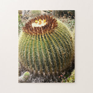 Grote, ronde, geprijsde cactus legpuzzel