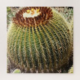 Grote, ronde, geprijsde cactus legpuzzel