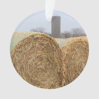 Grote ronde Hay-balken in een Boerderij veld Ornament
