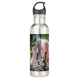 Grote roseate Spoonsbill Babies Water Bottle Waterfles