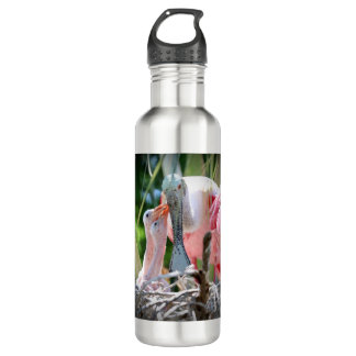 Grote roseate Spoonsbill Babies Water Bottle Waterfles