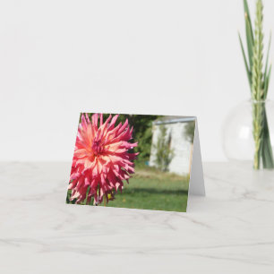 "GROTE ROZE DAHLIA" NOTECARD KAART