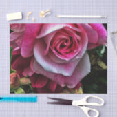 Grote roze roze roze tissuepapier (Craft)