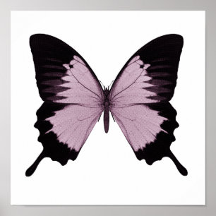 Grote Roze & Zwarte Vlinder - Personaliseer Poster