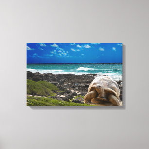 Grote schildpad aan de rand van het zee canvas afdruk