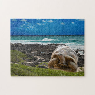 Grote schildpad aan de rand van het zee legpuzzel