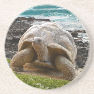 Grote schildpad aan de rand van het zee zandsteen onderzetter