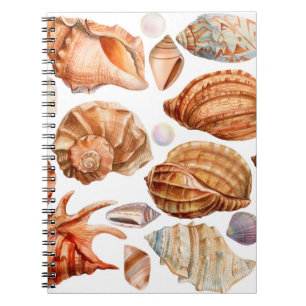 grote set seizoenen op een geïsoleerde witte achte notitieboek