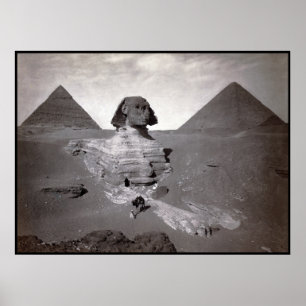 Grote Sfinx van Giza Necropolis en Piramiden Poster