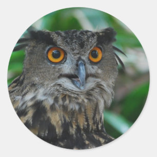 Grote sleepnetjes ronde sticker