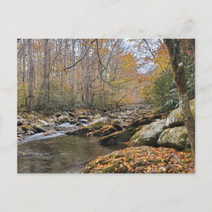 Grote Smoky Mountains Herfst Autumn River Briefkaart