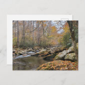Grote Smoky Mountains Herfst Autumn River Briefkaart (Voorkant / Achterkant)