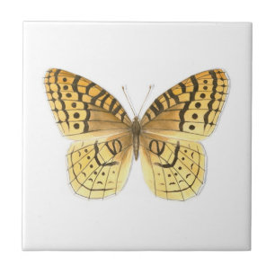 Grote Spangled Tegel Fritillary Tegeltje