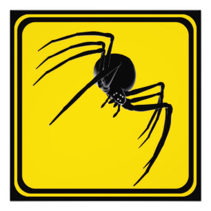 Grote Spinkruising. Foto Afdruk