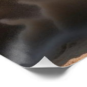 grote stier perfect poster (Hoek)